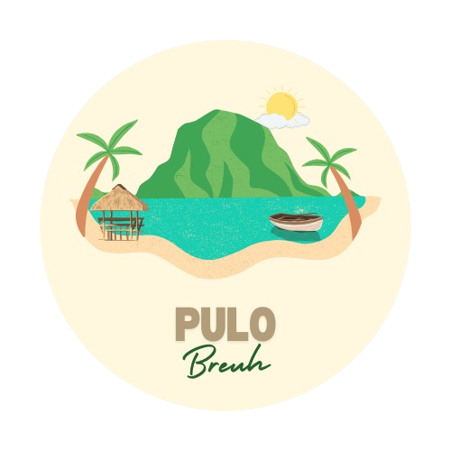 pulo removebg preview